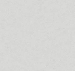 Hygge Roll Made in Russia MIR5 008 для спальни для гостиной для кабинета для загородного дома для комнаты для прихожей серый светло-серый